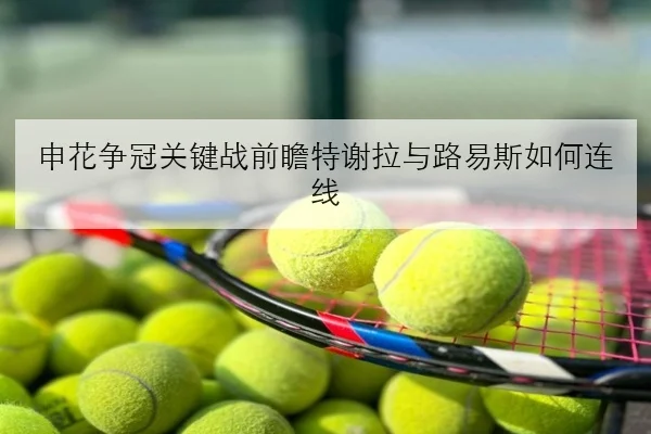 申花争冠关键战前瞻特谢拉与路易斯如何连线